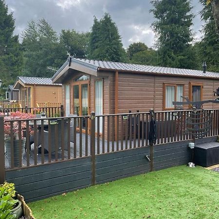 Honeycomb Lodge Dollar Dış mekan fotoğraf