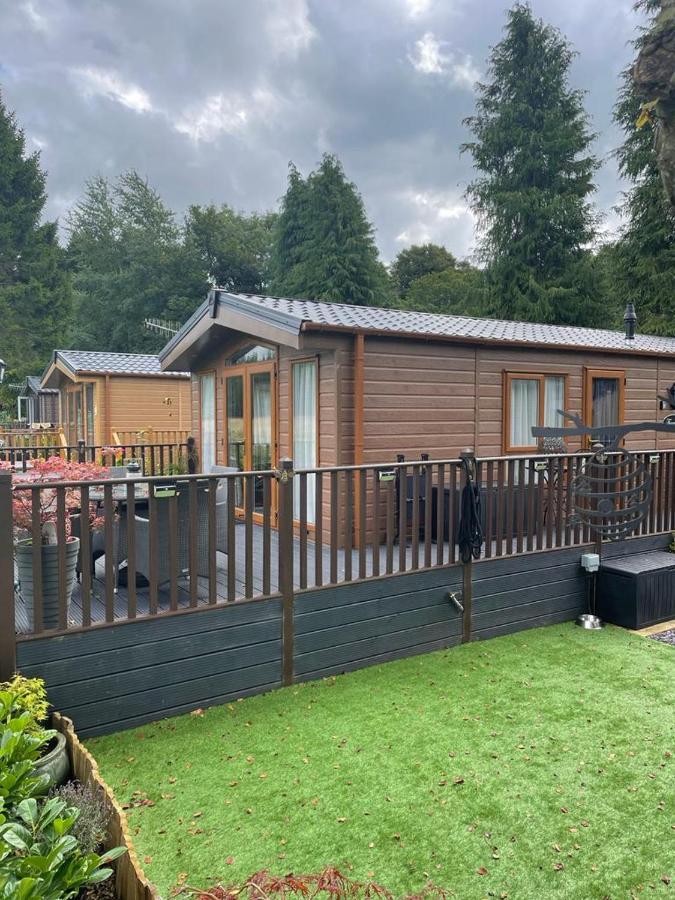 Honeycomb Lodge Dollar Dış mekan fotoğraf